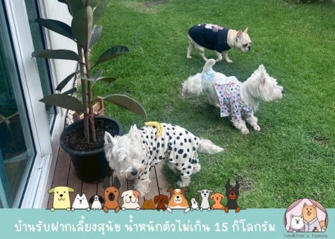 รับฝากสุนัข เทพารักษ์